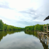 Vlinder Indonesia Blue Carbon